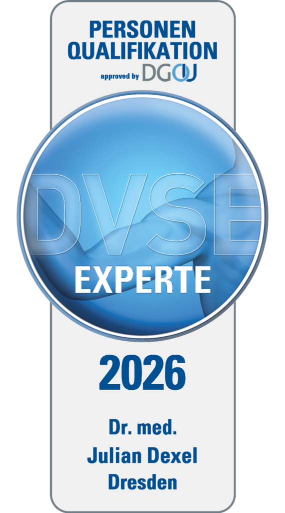 DVSE Schulter Experte